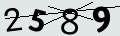 verifycode